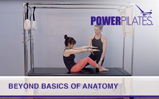 Beyond Basics of Anatomy