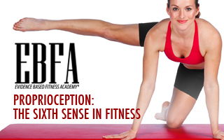 Rethinking Proprioception Training